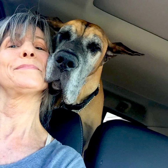 Meet your Posher, Jill - Picture 5 of 10